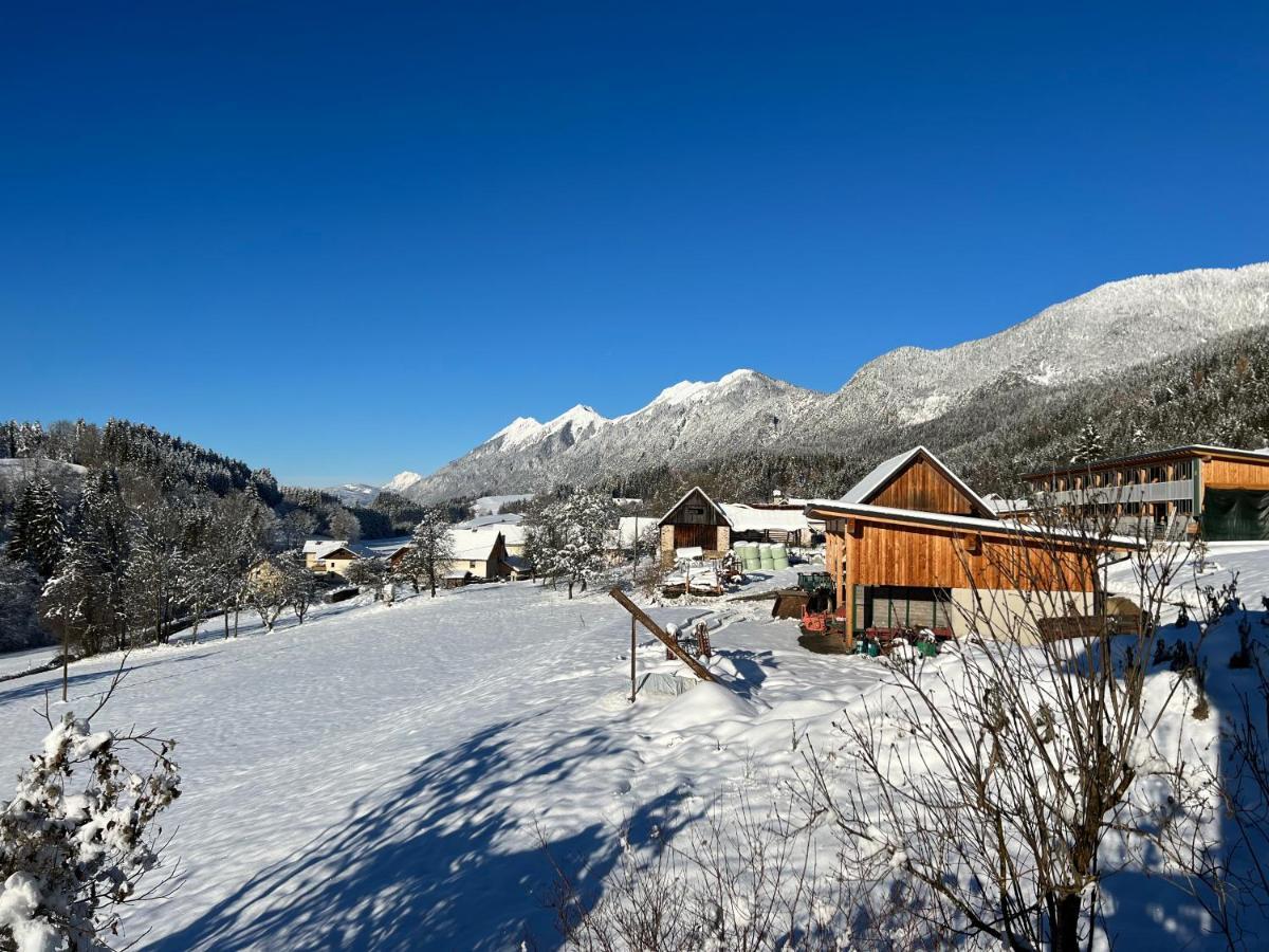 Villa Haus Romsicht Karinthie Kerschdorf Exterior foto