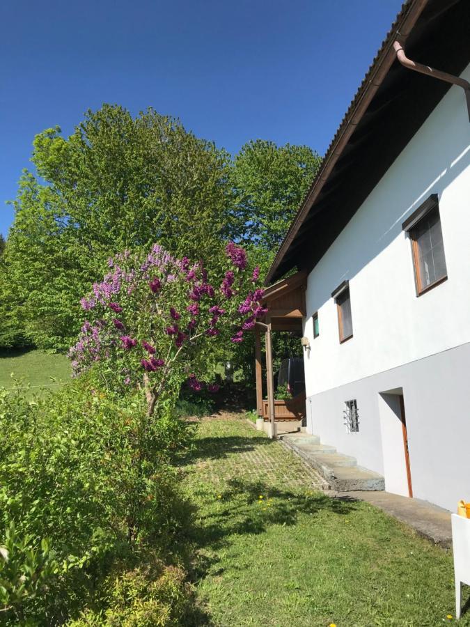 Villa Haus Romsicht Karinthie Kerschdorf Exterior foto